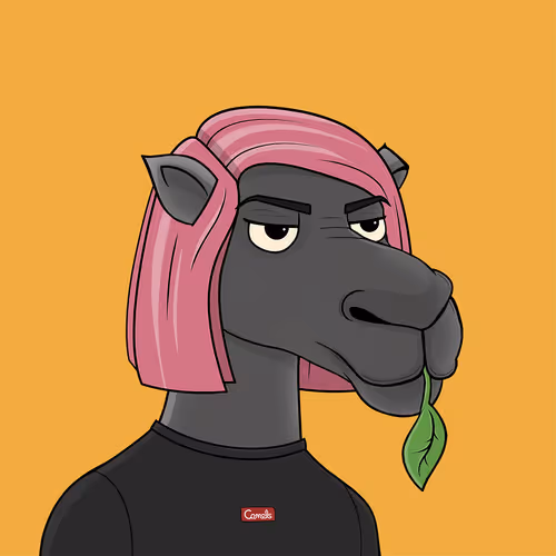 Camelsnftio