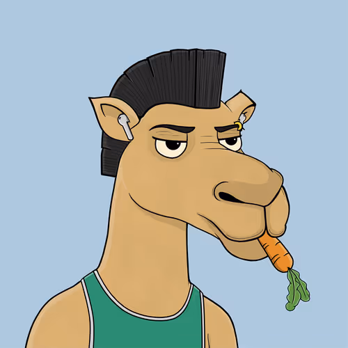 Camelsnftio