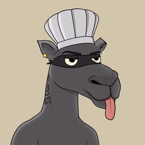 Camelsnftio