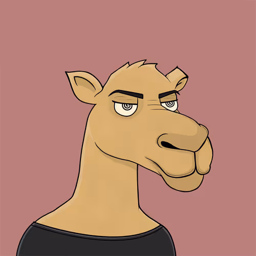 Camelsnftio