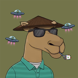 Camel #1396
