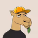 Camel #967