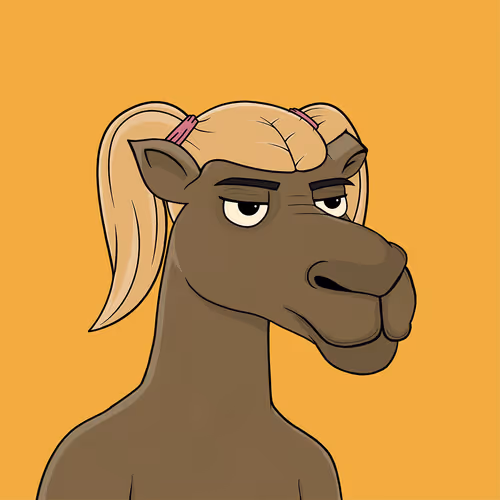 Camelsnftio