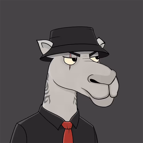 Camelsnftio