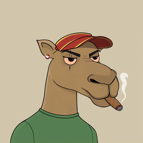 Camelsnftio
