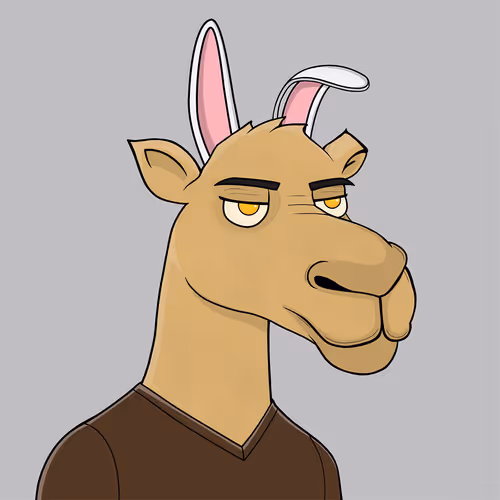Camelsnftio