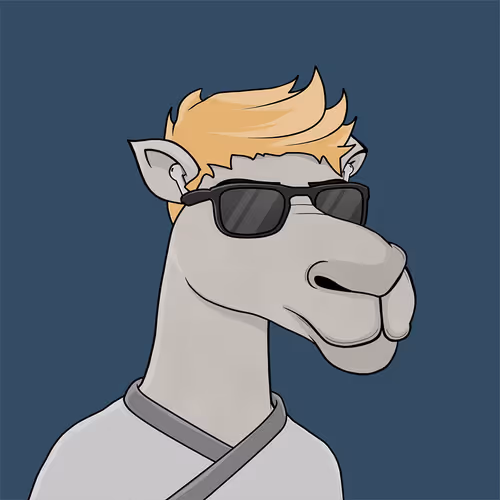 Camelsnftio