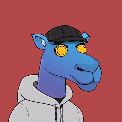 Camelsnftio