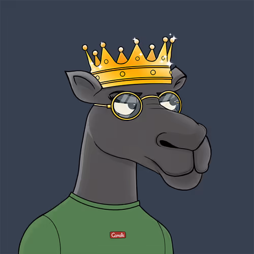 Camelsnftio