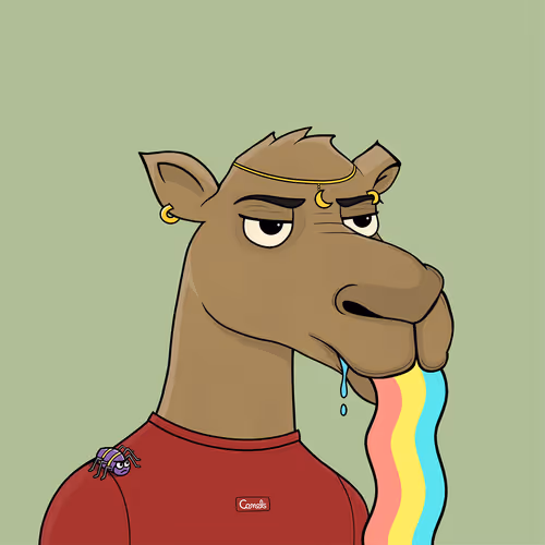 Camelsnftio