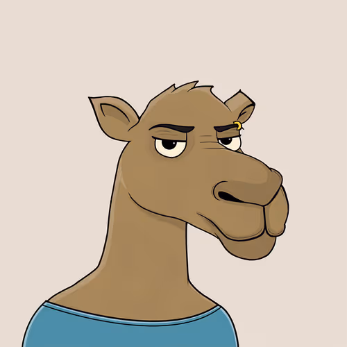 Camelsnftio