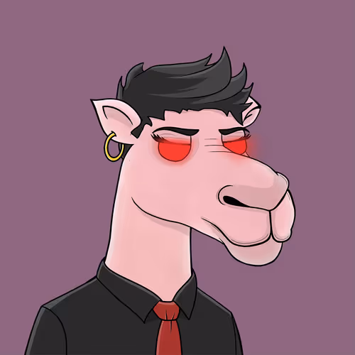Camelsnftio
