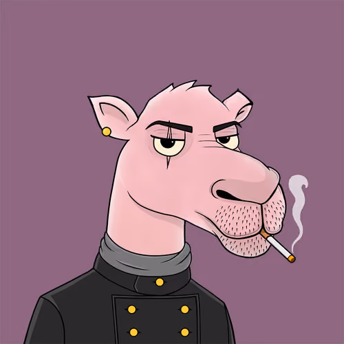 Camel #3552