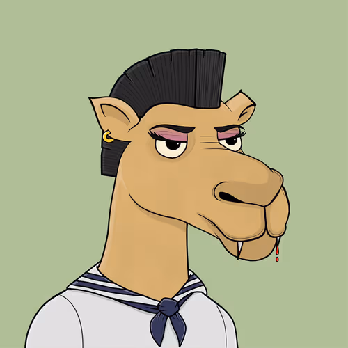 Camelsnftio