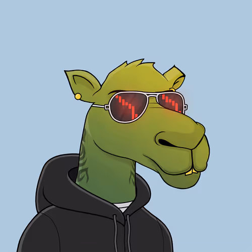 Camelsnftio
