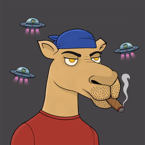 Camelsnftio