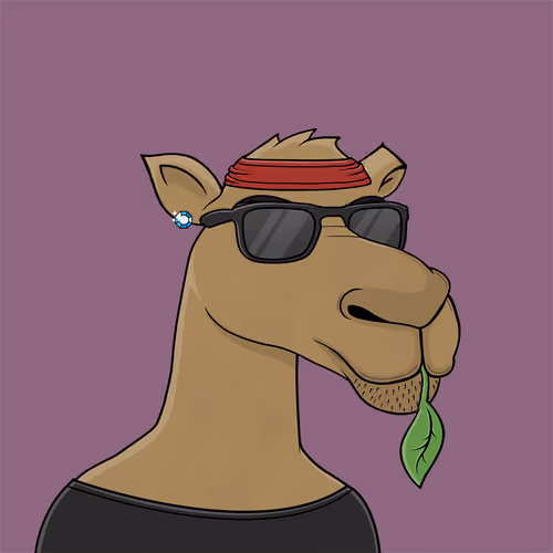 Camel #7013