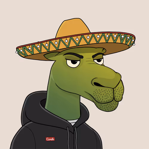 Camelsnftio