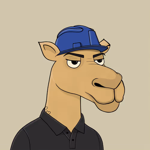 Camelsnftio