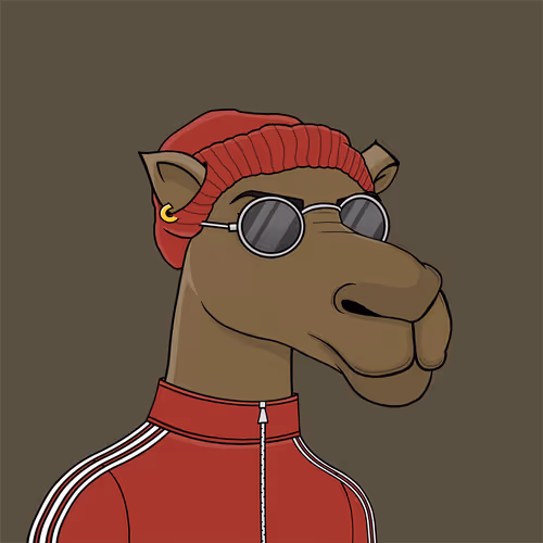 Camelsnftio