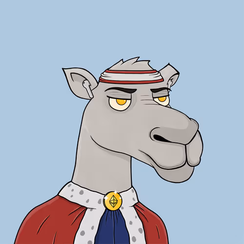 Camelsnftio