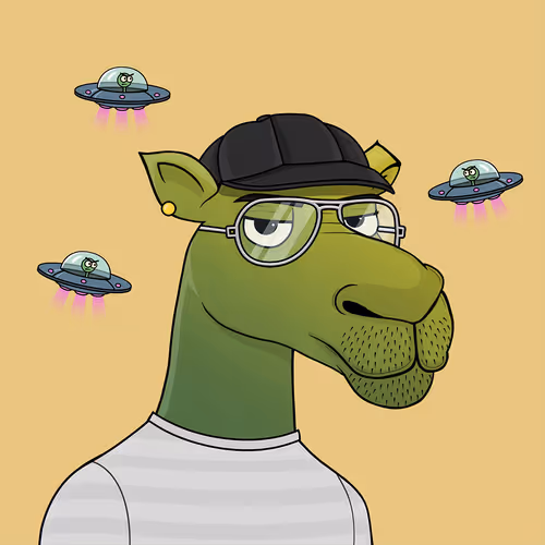 Camelsnftio
