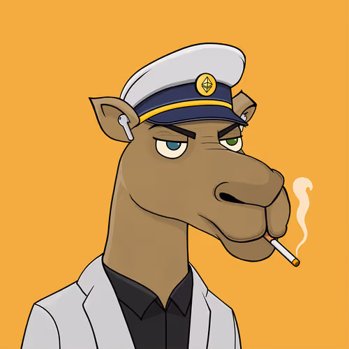 Camelsnftio