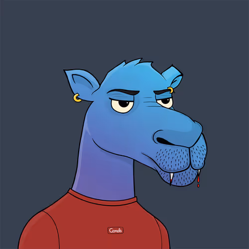 Camelsnftio