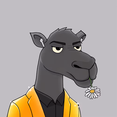 Camelsnftio