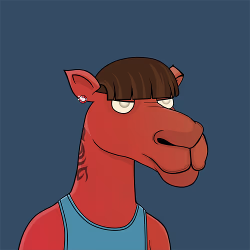 Camelsnftio