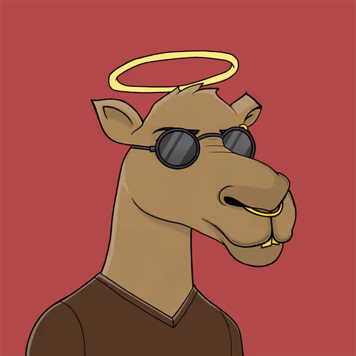 Camelsnftio