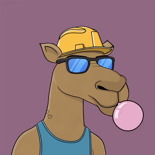 Camelsnftio