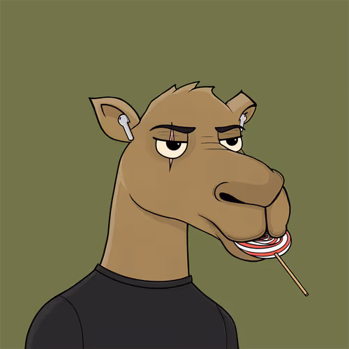 Camelsnftio