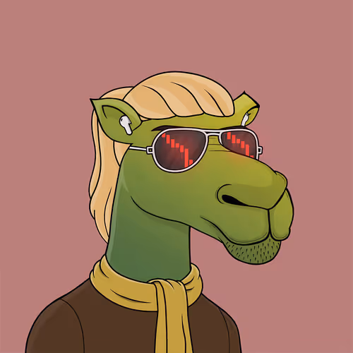 Camelsnftio