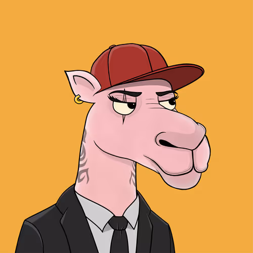 Camelsnftio