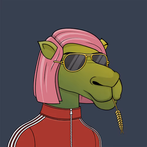 Camelsnftio