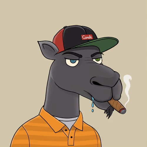 Camelsnftio