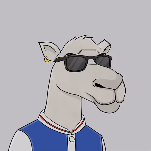 Camelsnftio