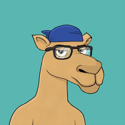 Camel #1295