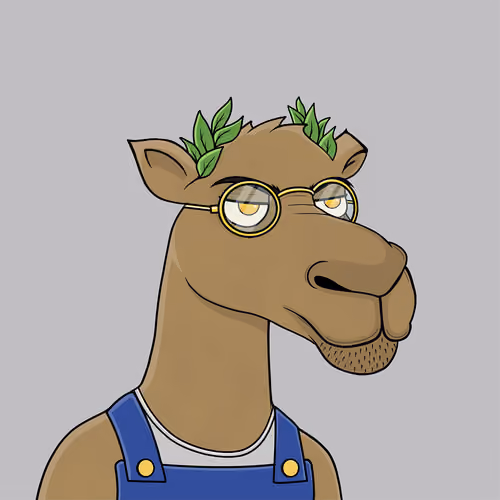 Camel #1241