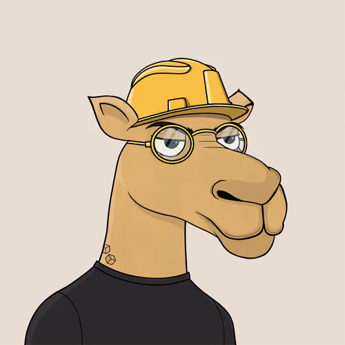 Camel #4950