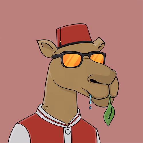 Camel #553