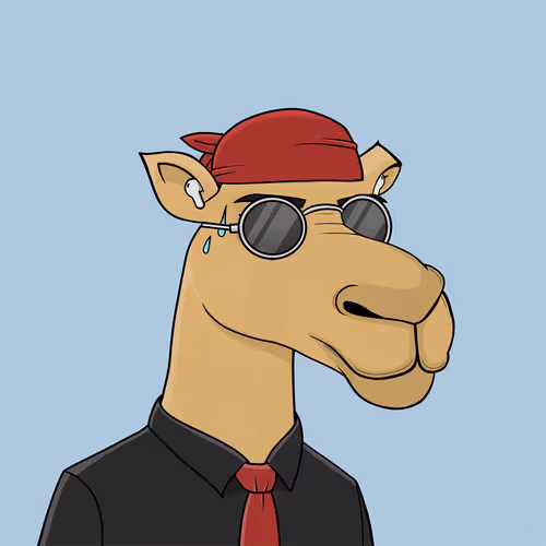 Camelsnftio