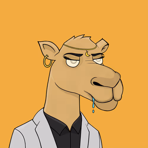 Camelsnftio