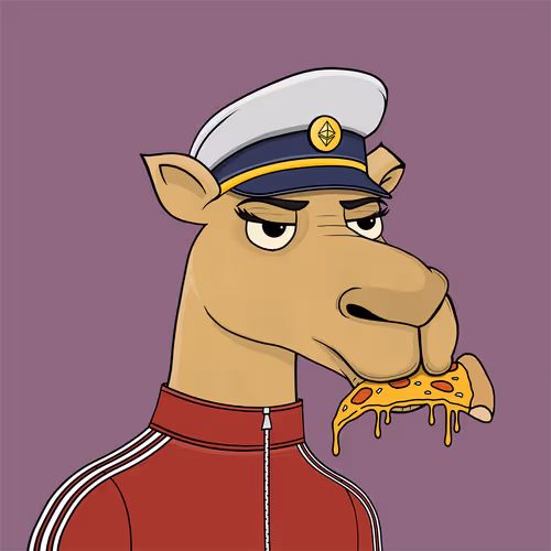 Camelsnftio