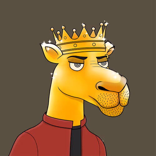 Camelsnftio