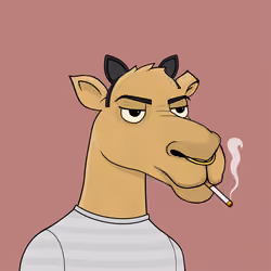 Camel #6504