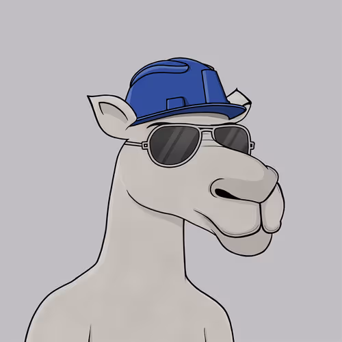 Camelsnftio