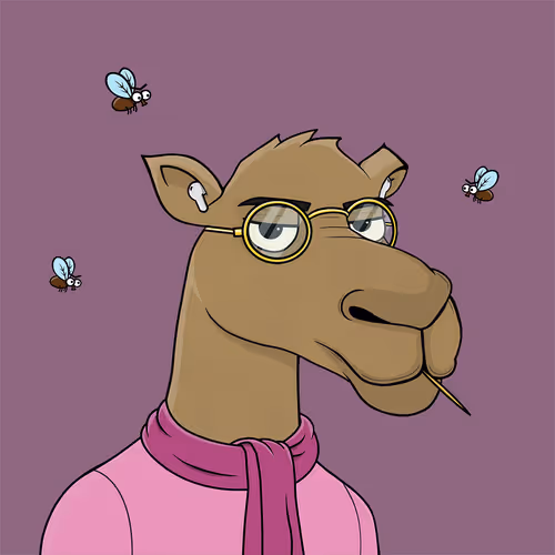 Camelsnftio