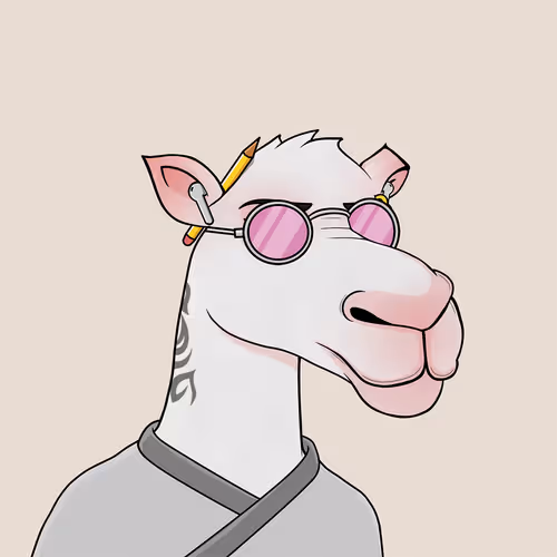 Camelsnftio